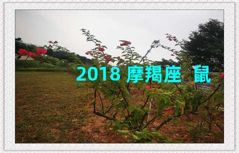 2018 摩羯座  鼠